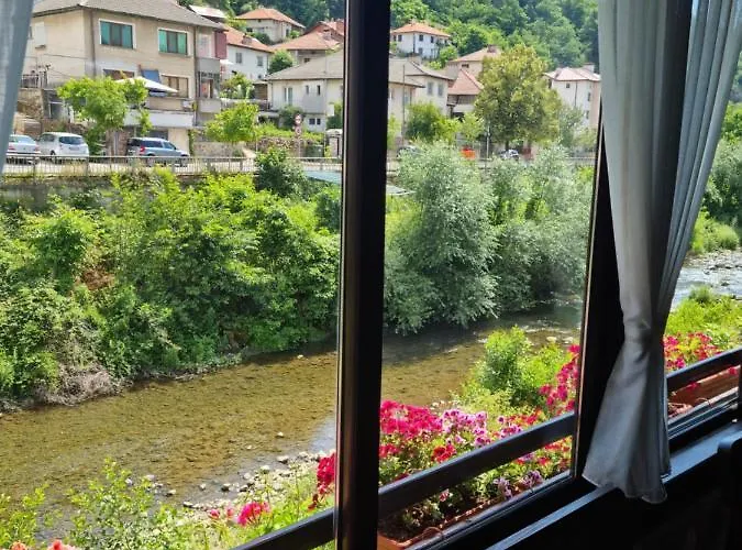 тони Pensjonat 3*